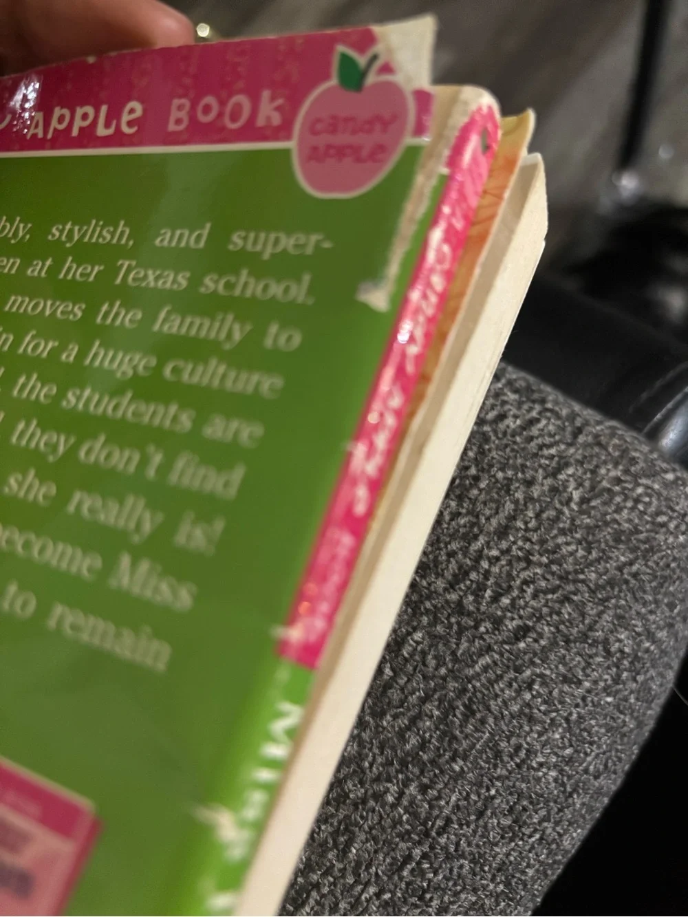 Miss Popularity by FRANCESCO SEDITA Kids’ Chapter Book